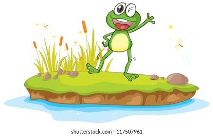illustration of a frog and a water on a white background