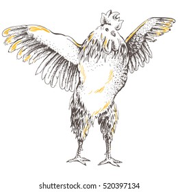 Illustration from the front rooster. Series of farm animals. Graphics, scetch, handmade drawing cock. Rooster wants to spread its wings and fly away. Vintage engraving style. Symbol New Year 2017
