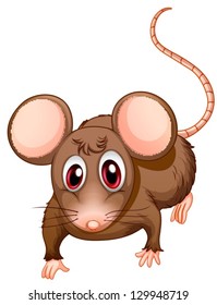 Illustration of a front view of the brown rat on a white background