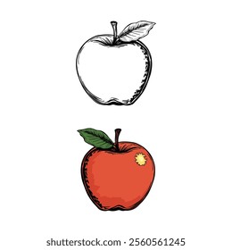 illustration, fruit, apple, food, vector, design, isolated, fresh, juicy, healthy, art, organic, graphic, icon, red, symbol, outline, apples, nutrition, diet, leaf, nature, agriculture, background, de