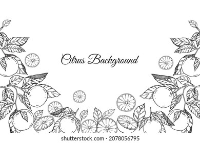 Illustration of fruit background with black line