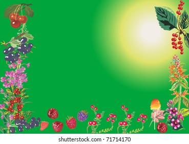 illustration with fruit frame on green background