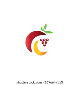 Illustration of fruit logo color vector design