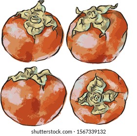 Illustration with fruit persimmon on white background