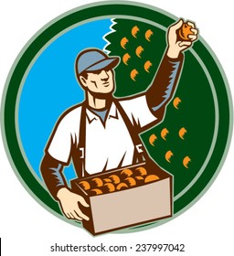 Illustration of a fruit picker fruit worker picking plum viewed from the front set inside circle shape done in retro style.