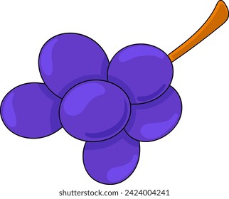 illustration of fruit, purple grapes, creative drawing 