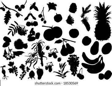 illustration with fruit silhouettes isolated on white background