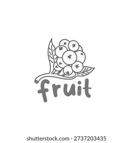 illustration of fruit with stem and leaves without background
