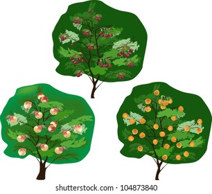 ilustración con árboles frutales aislados en fondo blanco