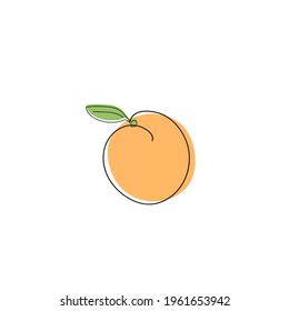 illustration fruit vector summer vitamin