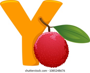 Illustration of Fruits Alphabet, an Orange Letter Y and a Yangmei