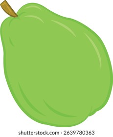 Illustration of fruits, green color, green pear, chayote, avocado, cartoon object, natural food vector, simple design