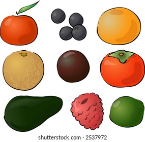 Illustration of fruits, hand-drawn look: tangerine, blueberries, grapefruit, melon, passionfruit, persimmon, avocado, raspberry, lime. Vector illustration