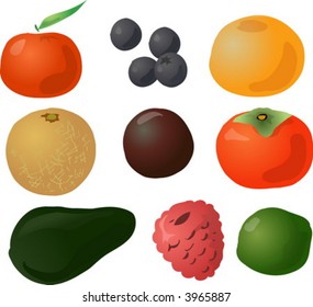 Illustration of fruits, hand-drawn look: tangerine, blueberries, grapefruit, melon, passionfruit, persimmon, avocado, raspberry, lime