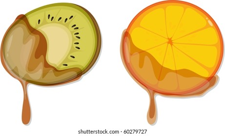 illustration of a fruits on a white background