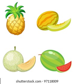 Illustration of fruits on a white background