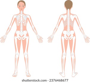 Illustration of full body female skeleton before and after