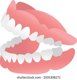 The illustration of full dentures (side angle)