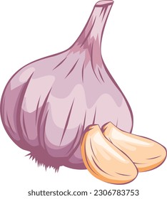 Illustration mit Knoblauch und zwei Wolken