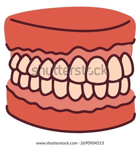 An illustration of a full set of dentures, showing a complete human jaw with teeth and gums. This model represents dental prosthetics, oral anatomy, and solutions for tooth replacement and a perfect 