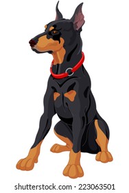 Illustration of fully concentrated guard dog Doberman