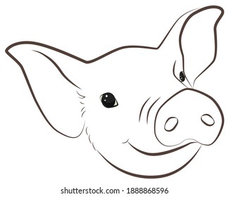 Illustration of a fun  pig muzzle with big ears.