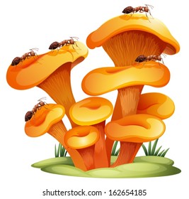 Illustration of the fungi with ants on a white background