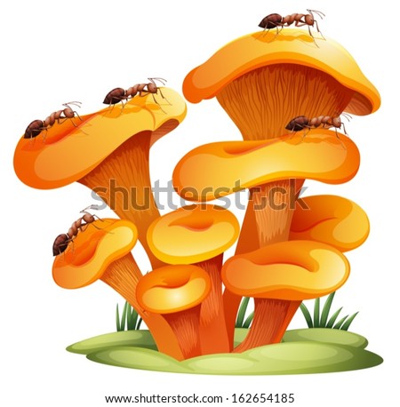 Illustration of the fungi with ants on a white background Stock photo © 