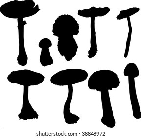 illustration with fungus silhouettes isolated on white background