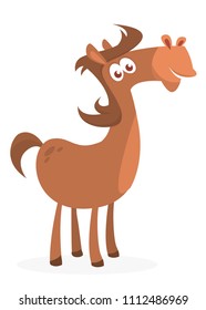 Illustration of a funny cartoon horse. Vector illustrated