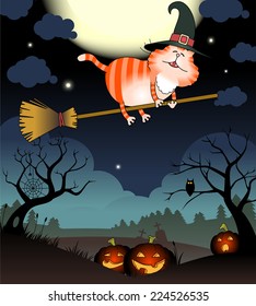 Illustration of funny cat flies on a broomstick