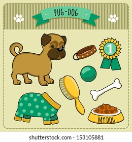 illustration of funny puppy and accessories. Pug dog