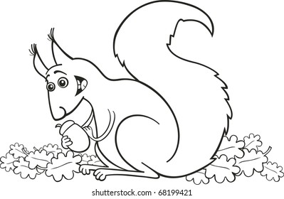 illustration of funny red squirrel with nut for coloring book