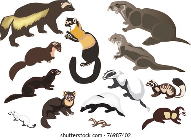 illustration with fur animals collection isolated on white background