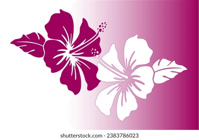 Illustration of a fuschia and a white hibiscus flower on a white to fuschia gradient