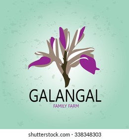 Illustration of Galangal, Essential Nutrient for Life.