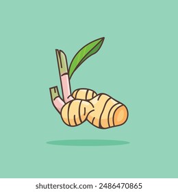 illustration of the galangal spice logo icon, galangal kitchen spice for the cooking industry