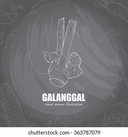 illustration of galanggal, vector illustration chalk drawing style, vegetables background