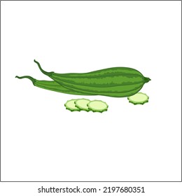 Illustration of gambas or oyong (Luffa acutangula) for vegetables. flat vector design