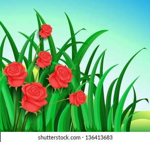Illustration of a garden with beautiful red roses