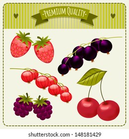 illustration with garden berries. strawberries, cherries, currants, black currants, blackberries