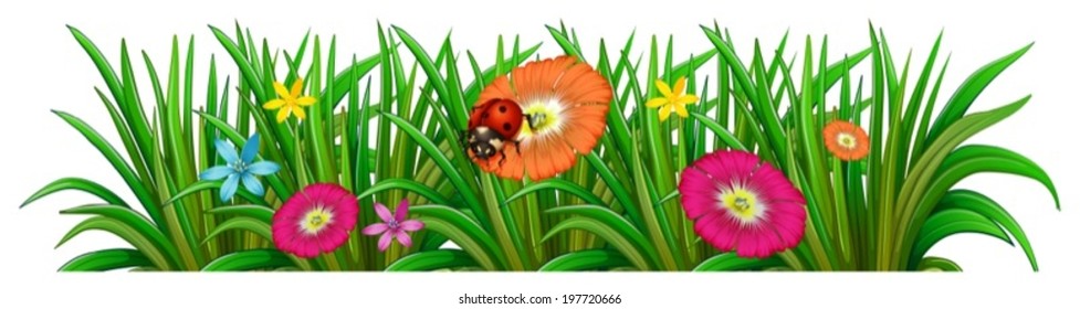 Illustration of a garden with a blooming flowers and a ladybug on a white background