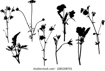 illustration with garden flowers silhouettes isolated on white background