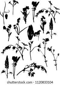illustration with garden flowers silhouettes isolated on white background