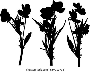 illustration with garden flowers silhouettes isolated on white background