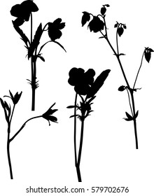 illustration with garden flowers silhouettes isolated on white background