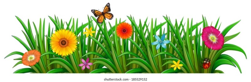 Illustration of a garden with fresh blooming flowers, a butterfly and a ladybug on a white background