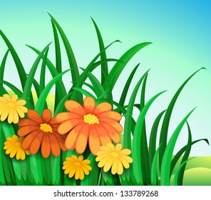 Illustration of a garden in the hill with fresh orange and yellow flowers