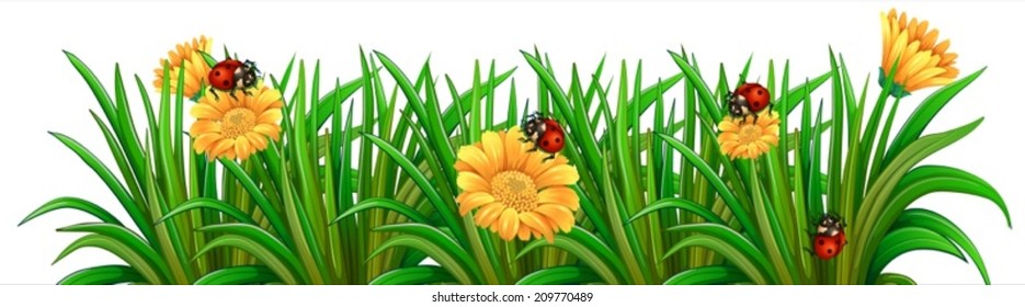 Illustration of a garden with ladybugs on a white background