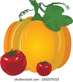 Illustration, garden vegetables pumpkin and tomato. Autumn harvest .Vector image